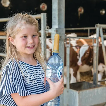 Haus Engel-michael * Steffeshausen